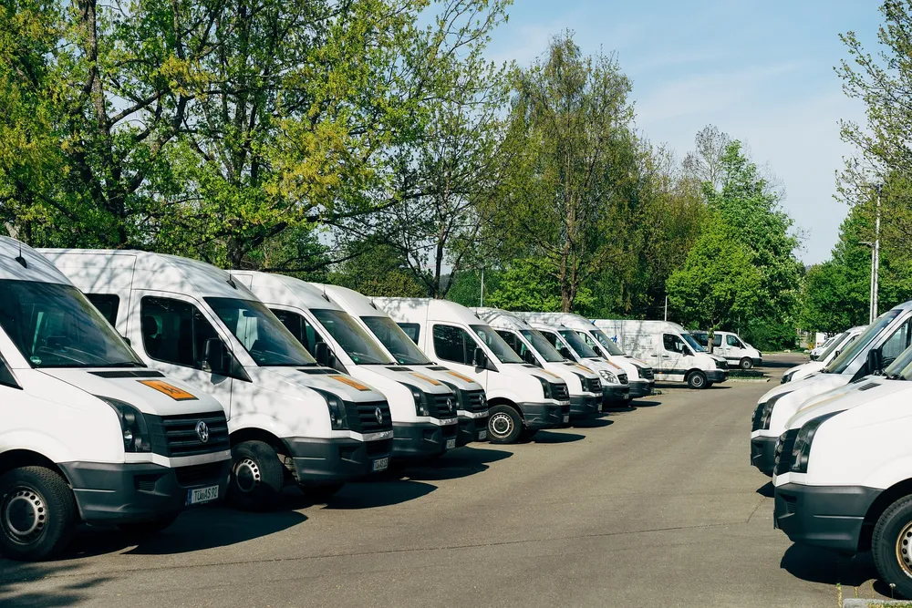 Fleet of white vans parked in a row under trees